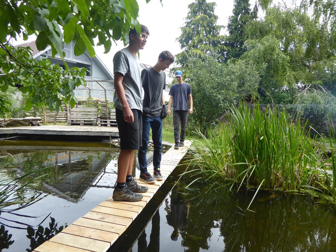 Mobirise Website Builder